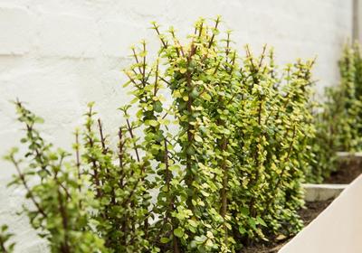 Raw Karoo Guest House