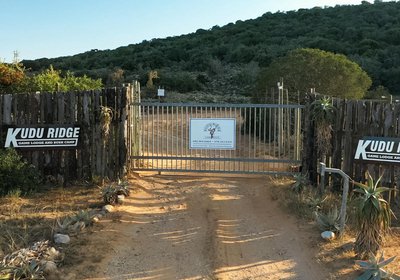 Kudu Ridge Game Ranch