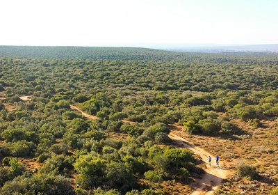 Kudu Ridge Game Ranch