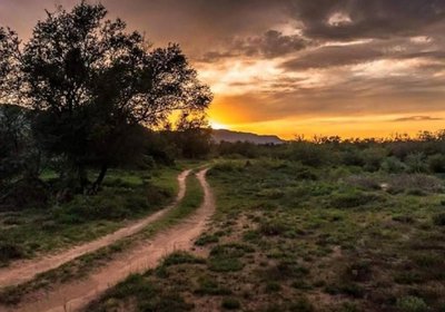 Bhejane Game Reserve