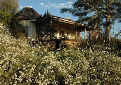 Forest Hills Cottages