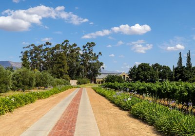 Saronsberg Vineyard Cottages