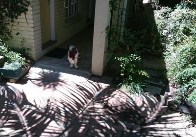 Ladybrand Guest House