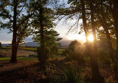 Elgin Vintners Country House