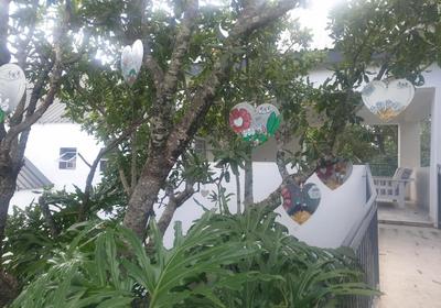 Be Our Guest Self Catering Accomodation