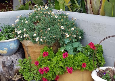 Hemel & Aarde Village Accommodation