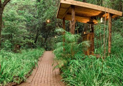 Serenity Mountain and Forest Lodge 