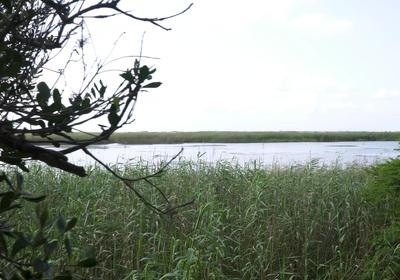 Pelicans Pad @ St Lucia