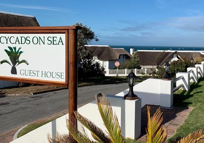 Cycads on Sea Guest House