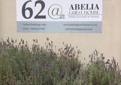 @Abelia Guest House