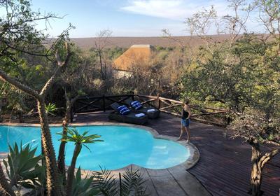 THE WILD BLUE LODGE  SAFARI & SPA