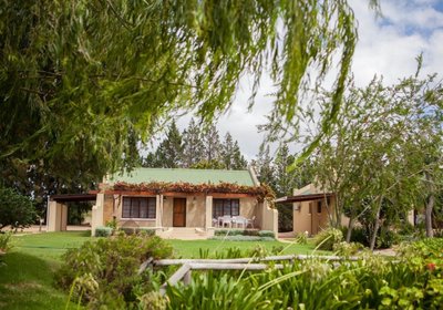 Skilpadvlei Wine Stellenbosch