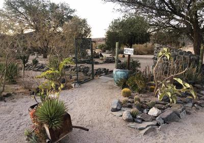 Daureb Isib Campsite and B&B