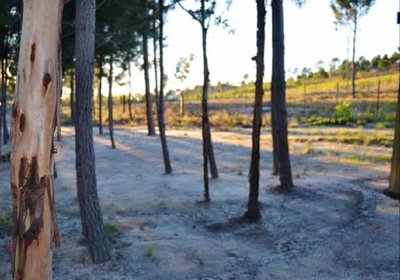 Otium Oasis Glamping & Camping