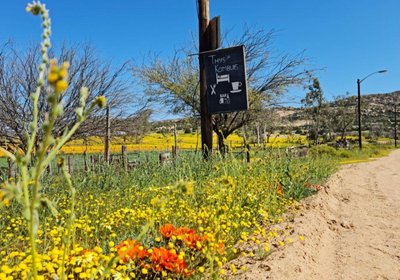 Thys'e Kombuis & Guest House