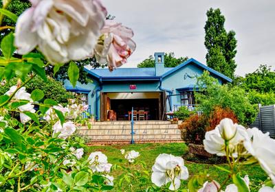 Golden View - Oak on Church