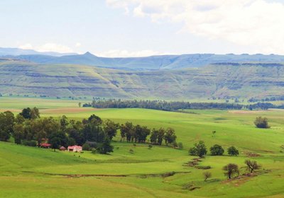 Fairbairn Guest Farm