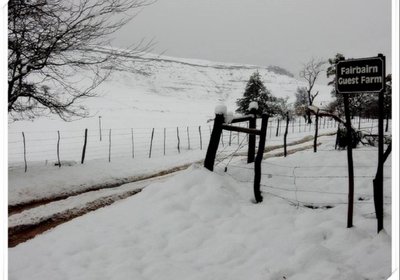 Fairbairn Guest Farm