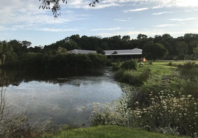 View of The Homestead