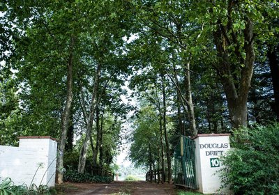 Douglas Drift