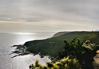 Misty Mountain Reserve