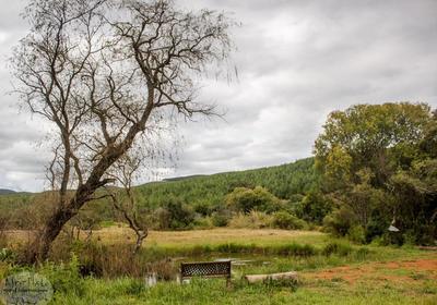 Gunyatoo Trout Farm & Guest Lodge