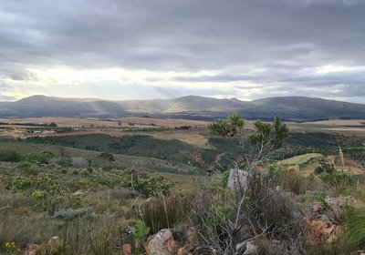 Avani Lodge Private Nature Reserve Bot River