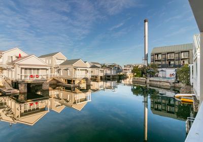 Avocet Nest on Thesen Island