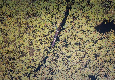 Boteti Tented Safari Lodge