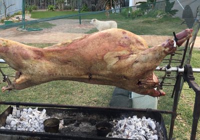 My Den Beachfront B&B and Self-Catering