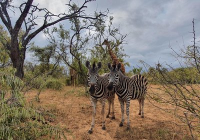 Blyde River Wilderness Lodge