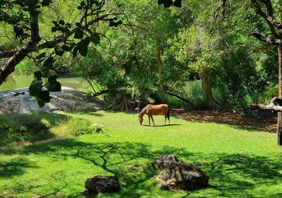 Blyde River Wilderness Lodge