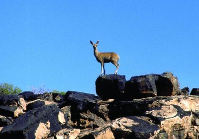 Canyon Roadhouse Camping, Namibia