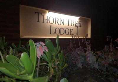 Thorn Tree Lodge