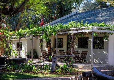 Addo African Home, Restaurant & Safari