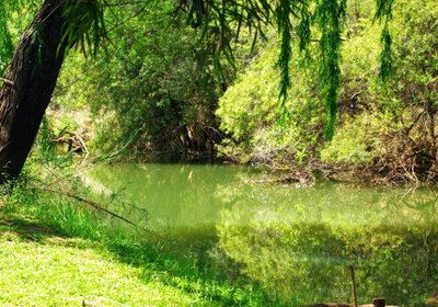 Riverstill Guest Farm