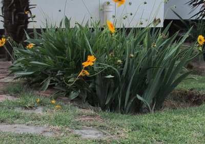 Absolute Leisure Cottages