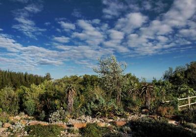 Woodcutters Forest Cottages