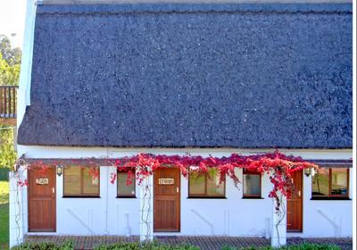 Zoutpan Struishuis Guest Farm
