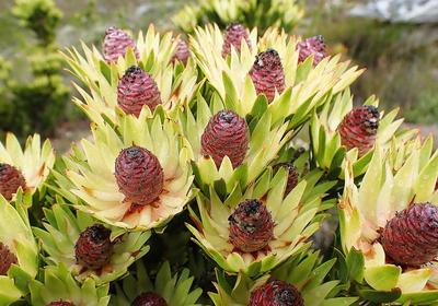 Kleinrivier Mountain Escapes