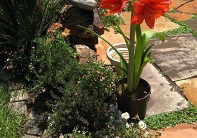 Breena BnB Guest House