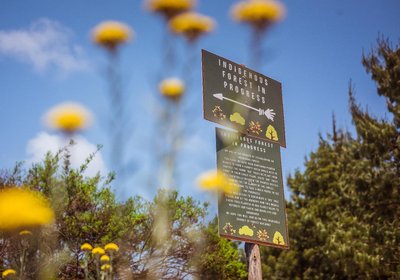 Zwakala River Retreat