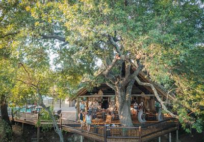 Umkumbe Bush Lodge Luxury Tented Camp