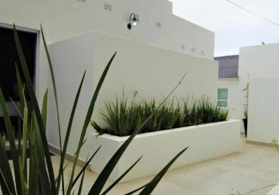 The Executive Bed and Breakfast