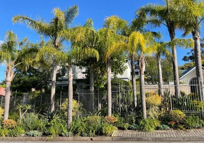 Constantiaberg Eco-Villa