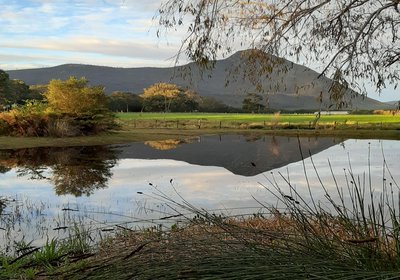 Mountain Breeze Log Cabins