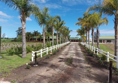 Mountain Breeze Log Cabins