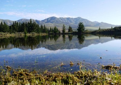 Mountain Pastures Lodge