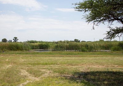 Newlands Country Lodge