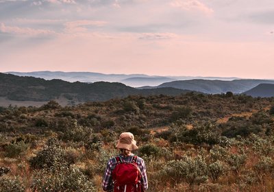 Bateleur Nature Reserve